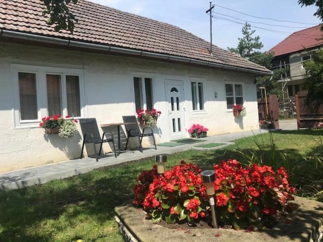 Casuta Sanatatii Hotel Covasna Exterior photo